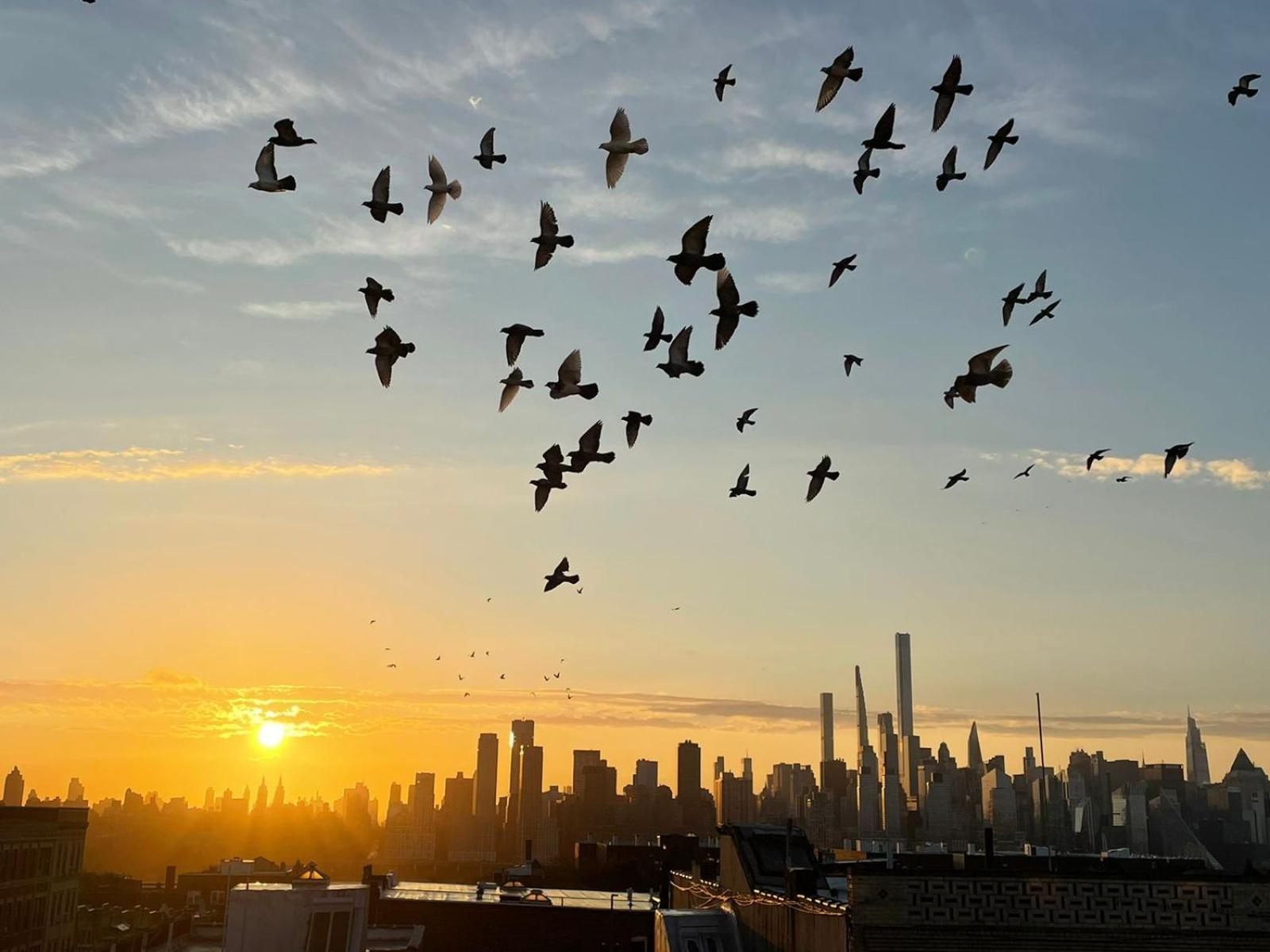 See Ny Now Sleeps 21 ยูเนียนซิตี ภายนอก รูปภาพ